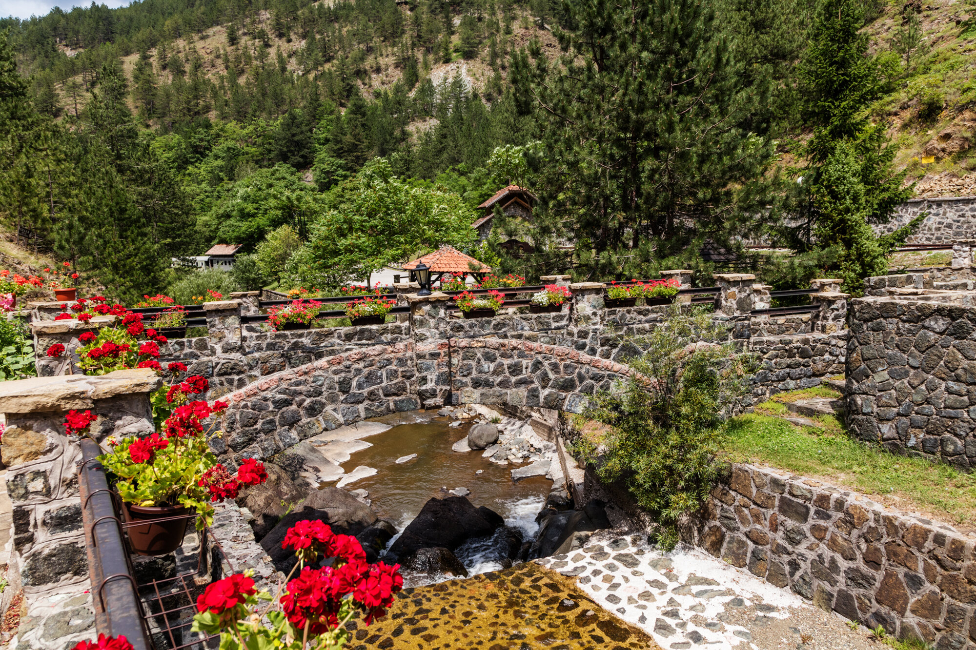 Камени мостић и цвеће поред потока